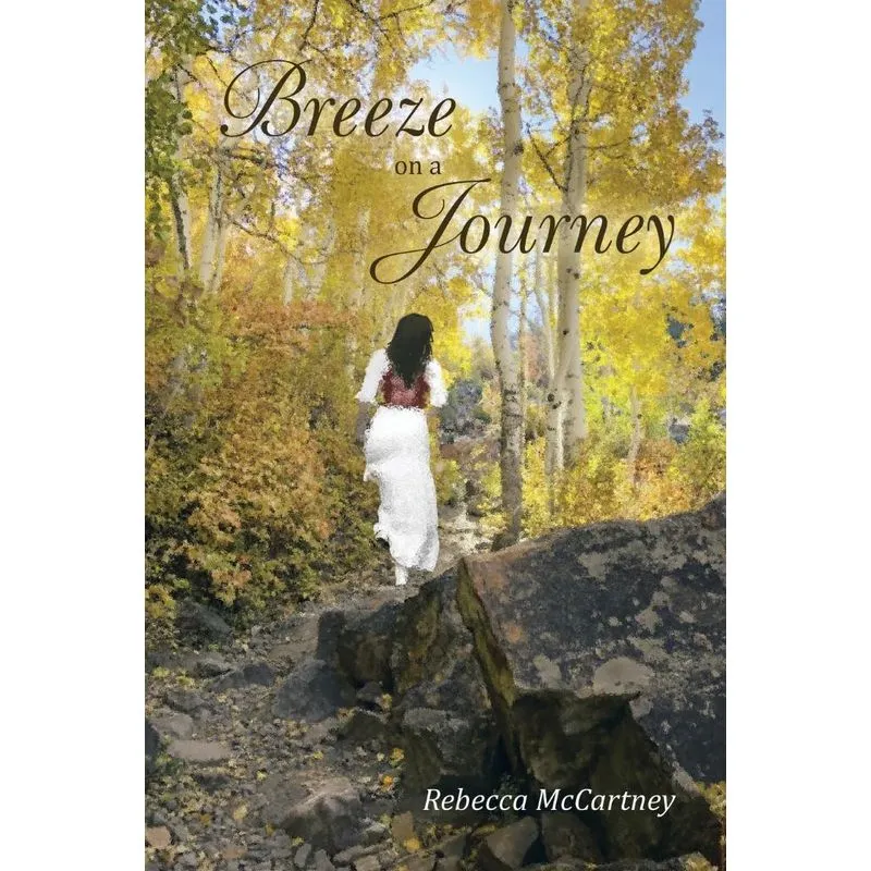 Breeze on a Journey