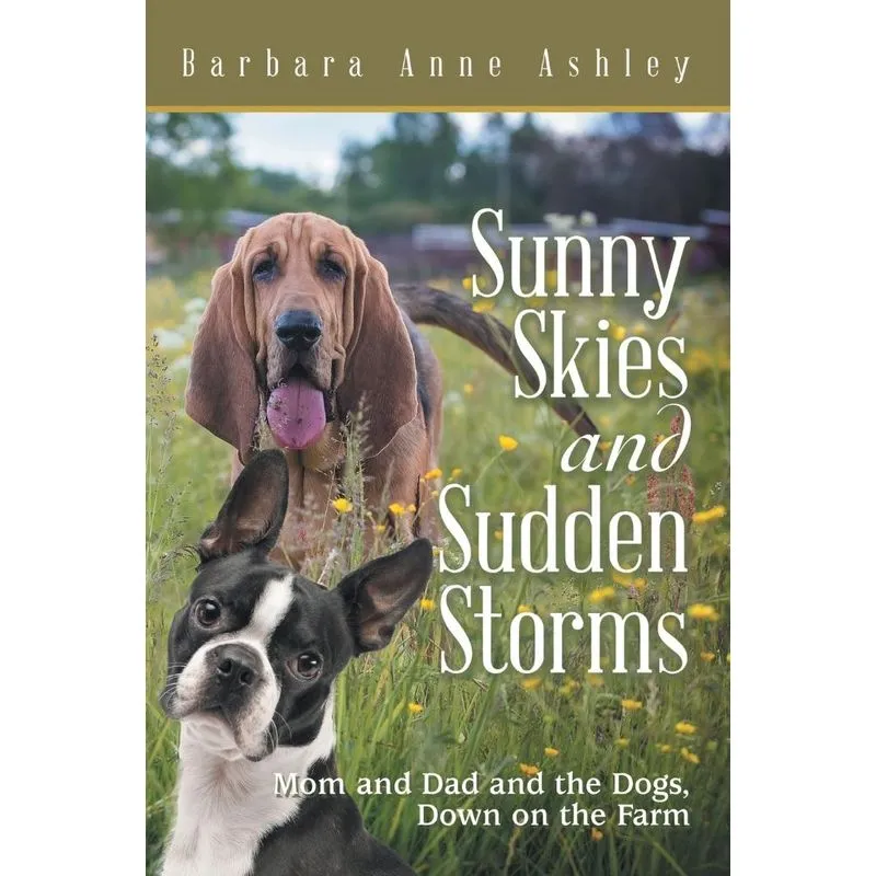 Sunny Skies and Sudden Storms