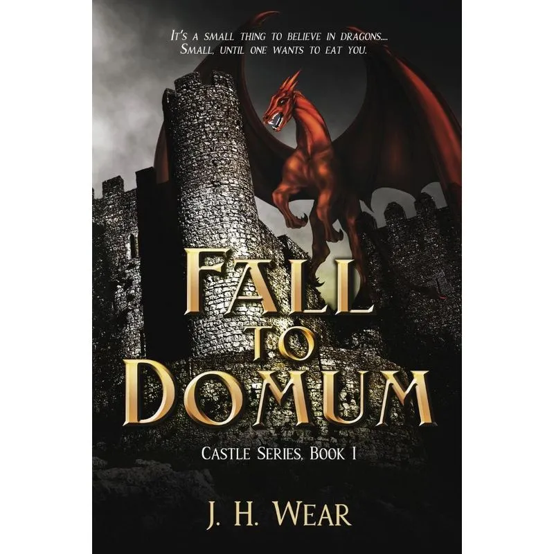 The Fall to Domum, Castle, Book 1