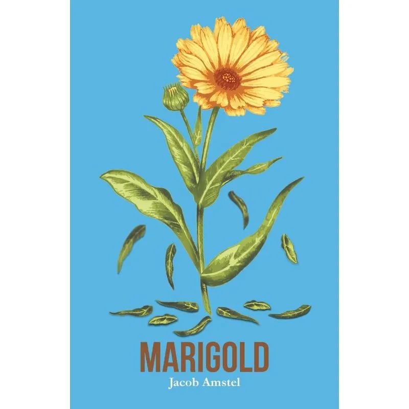 Marigold