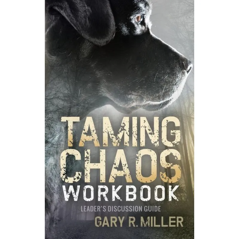 Taming Chaos Workbook