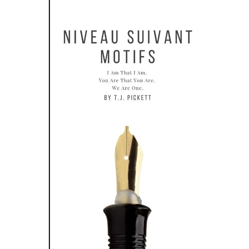 Niveau Suivant Motifs