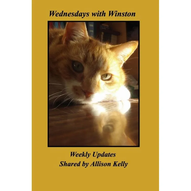 Wednesdays with Winston