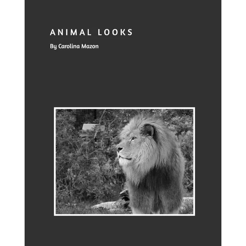Animal Looks BW