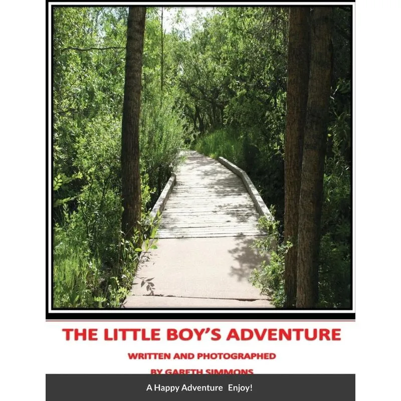 Little Boys Adventure
