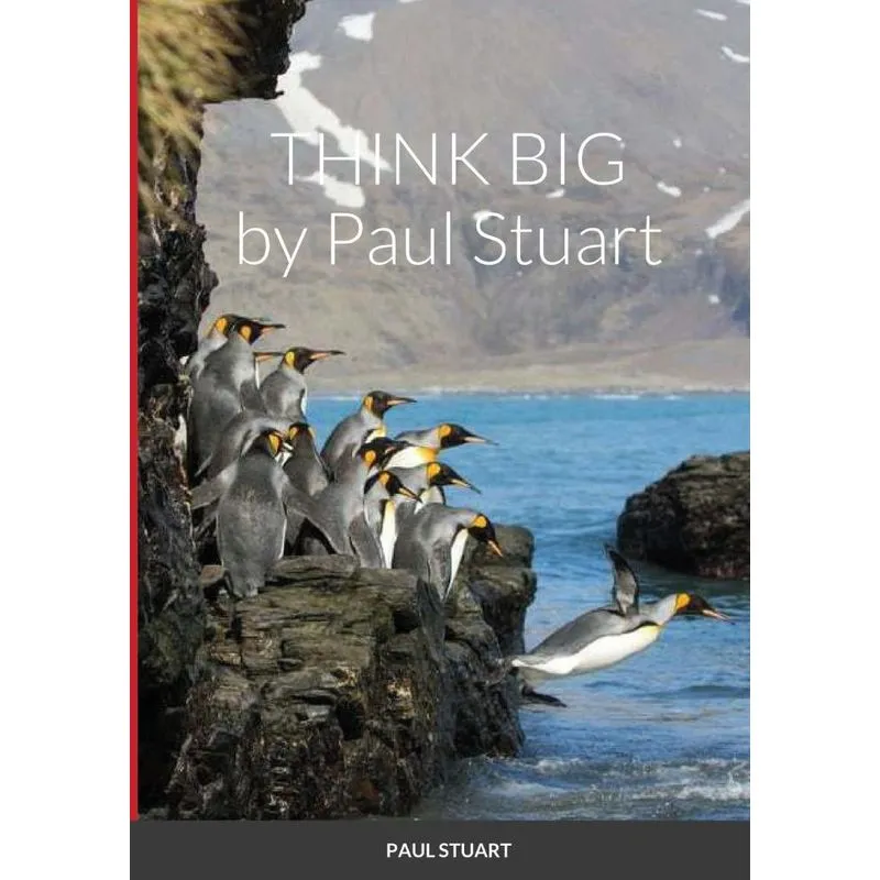 THINK BIG
