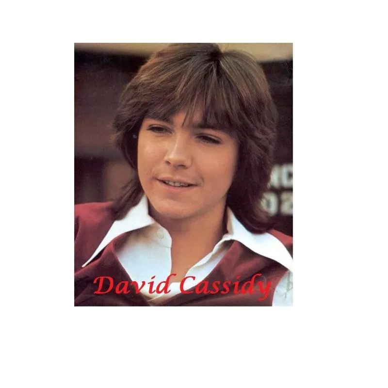 David Cassidy