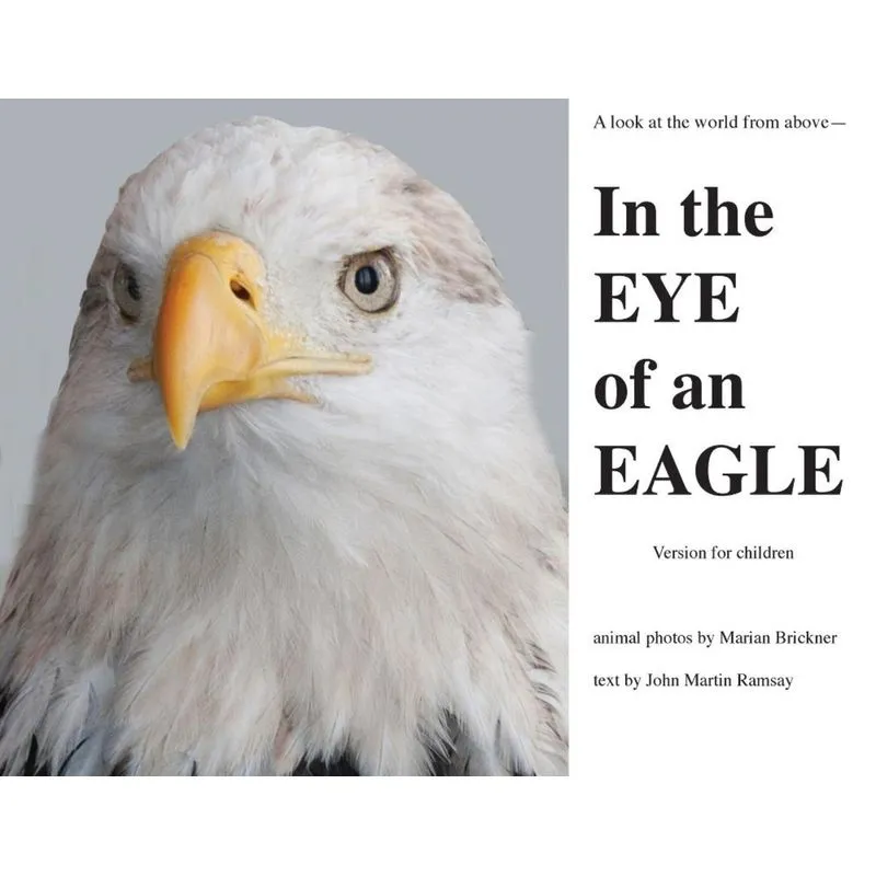 In the Eye of an Eagle