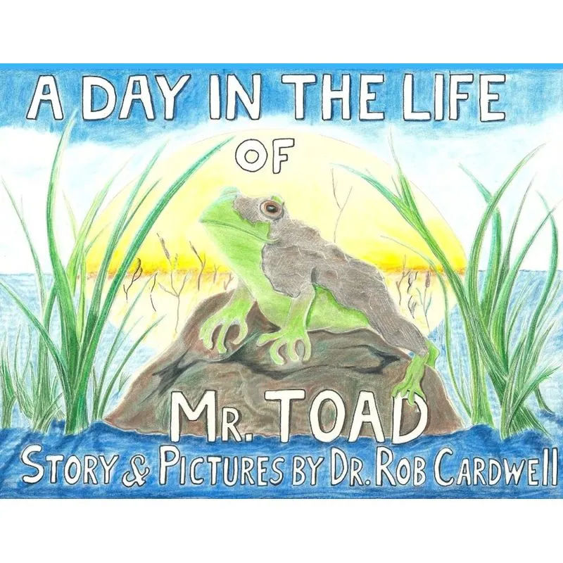 A Day in the Life of Mr. Toad