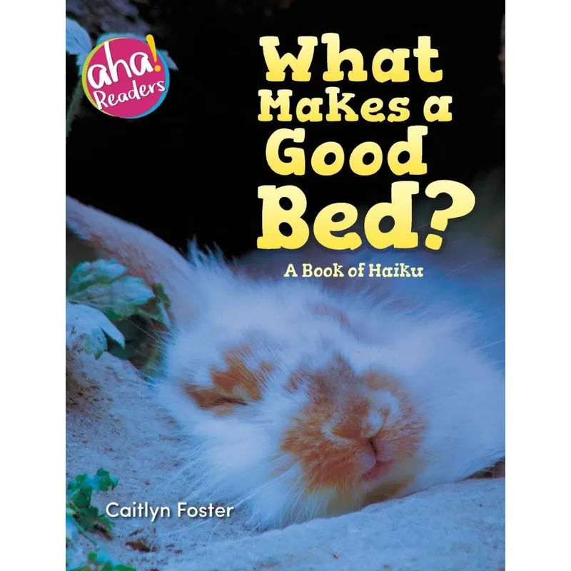 What Makes a Good Bed?