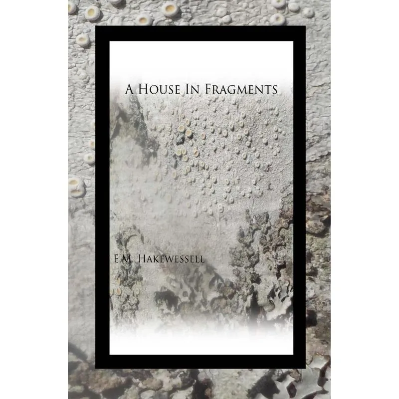 A House in Fragments