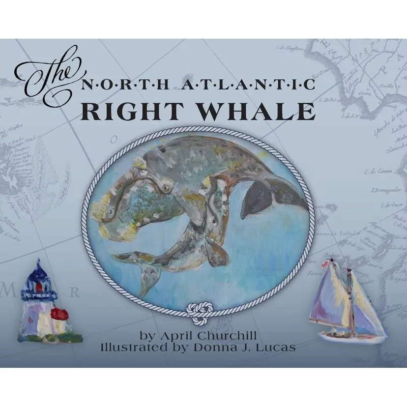 The North Atlantic Right Whale
