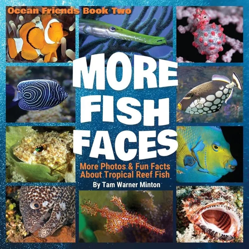More Fish Faces