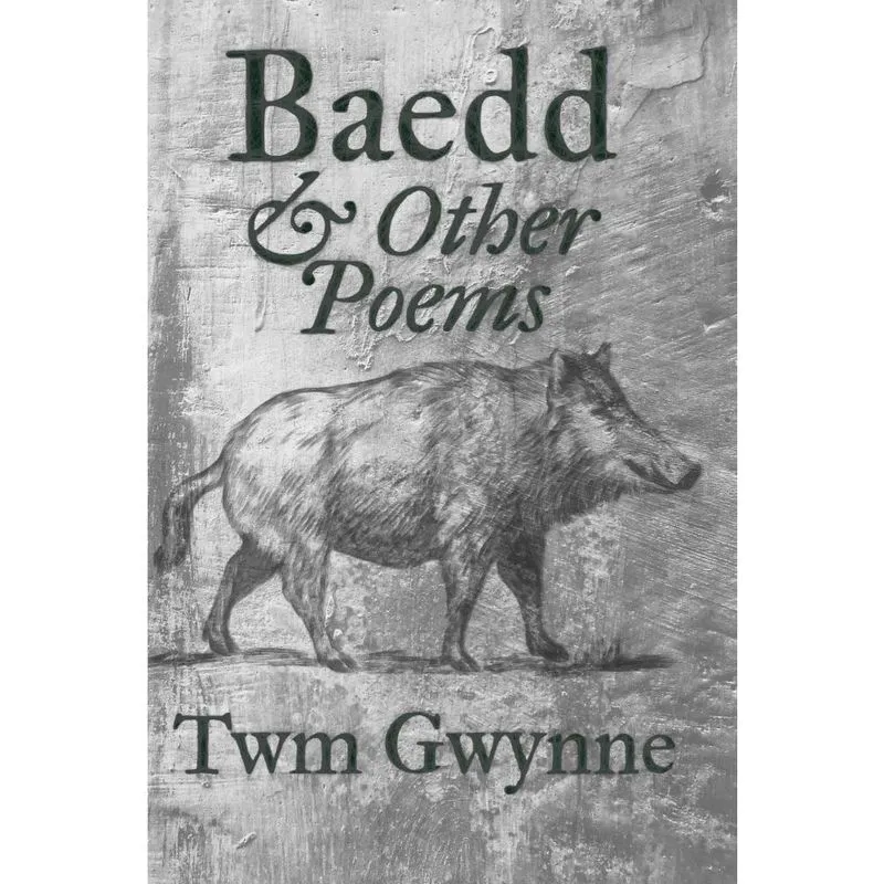 Baedd and Other Poems