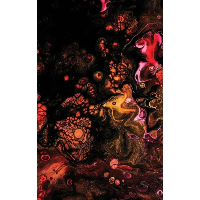 Aurora Journal (Diary, Notebook)