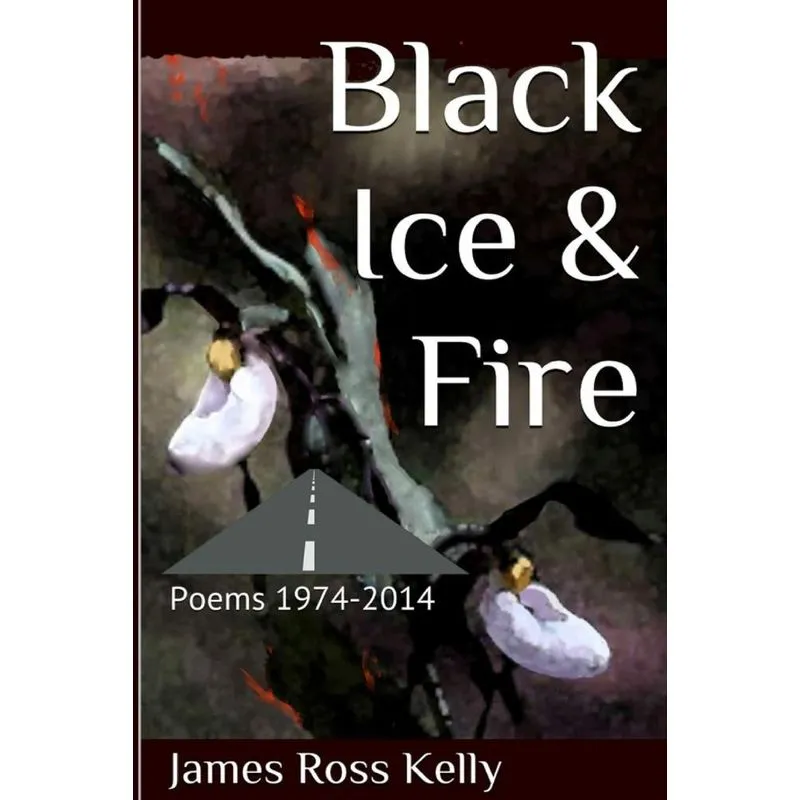 Black Ice & Fire