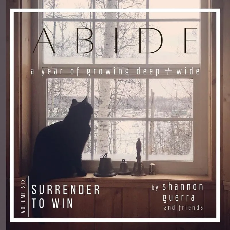 Surrender To Win