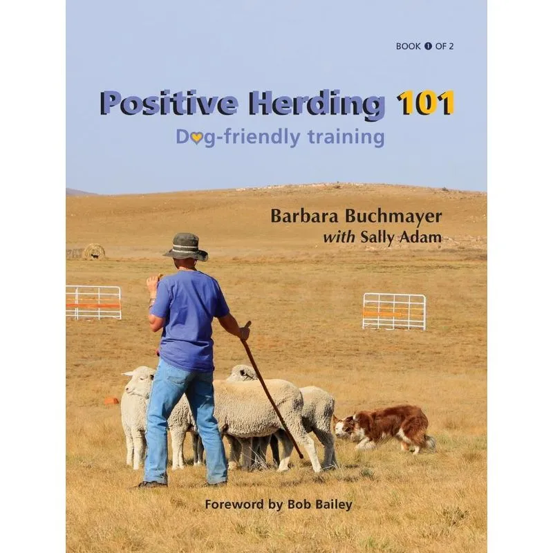 Positive Herding 101