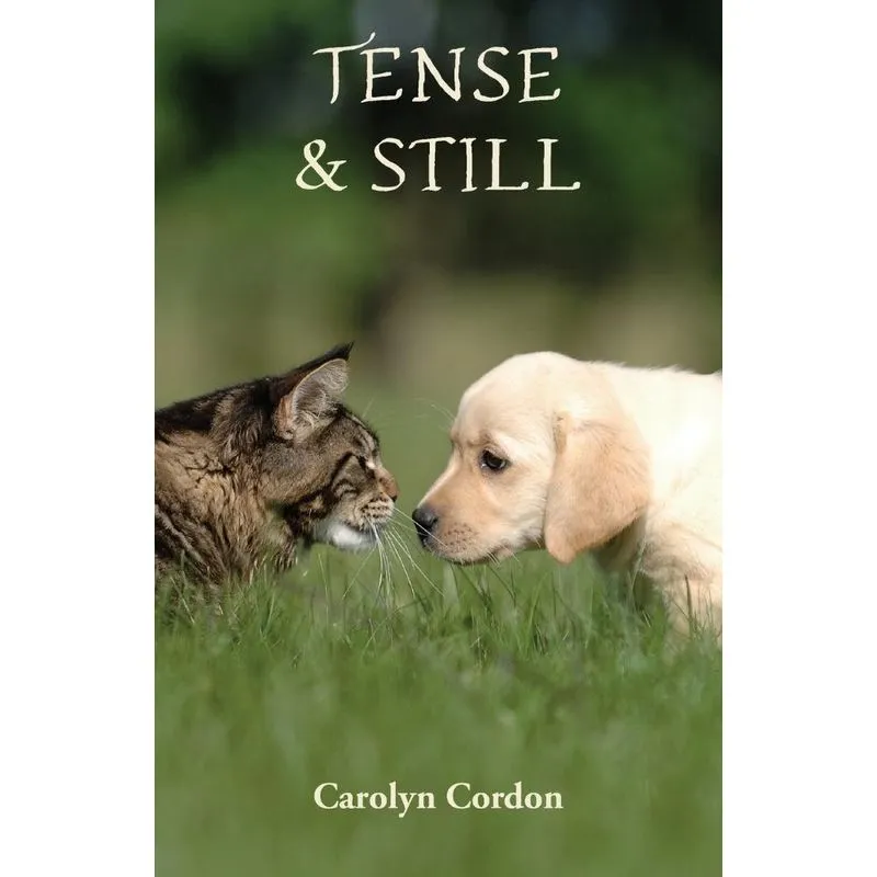 Tense & Still