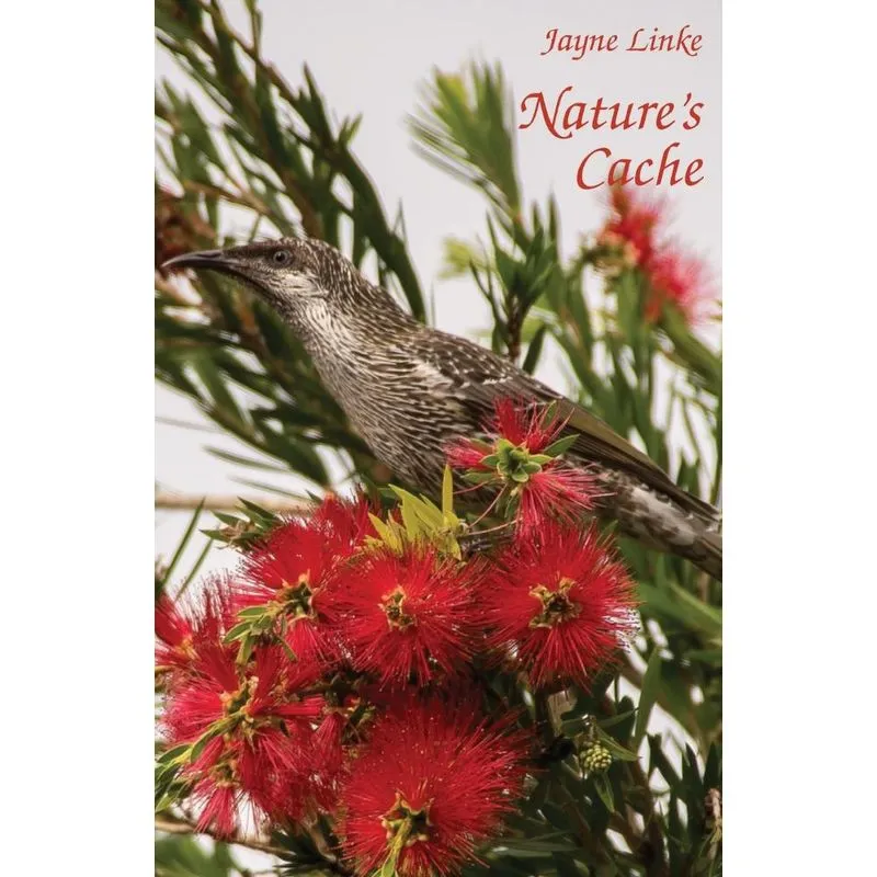 Natures Cache