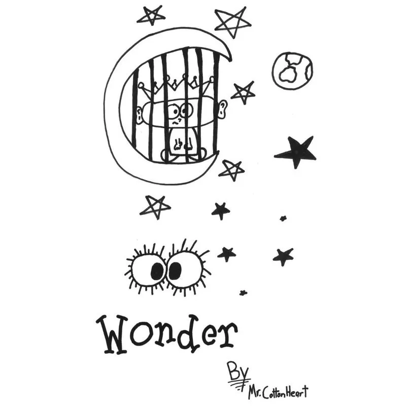 Wonder