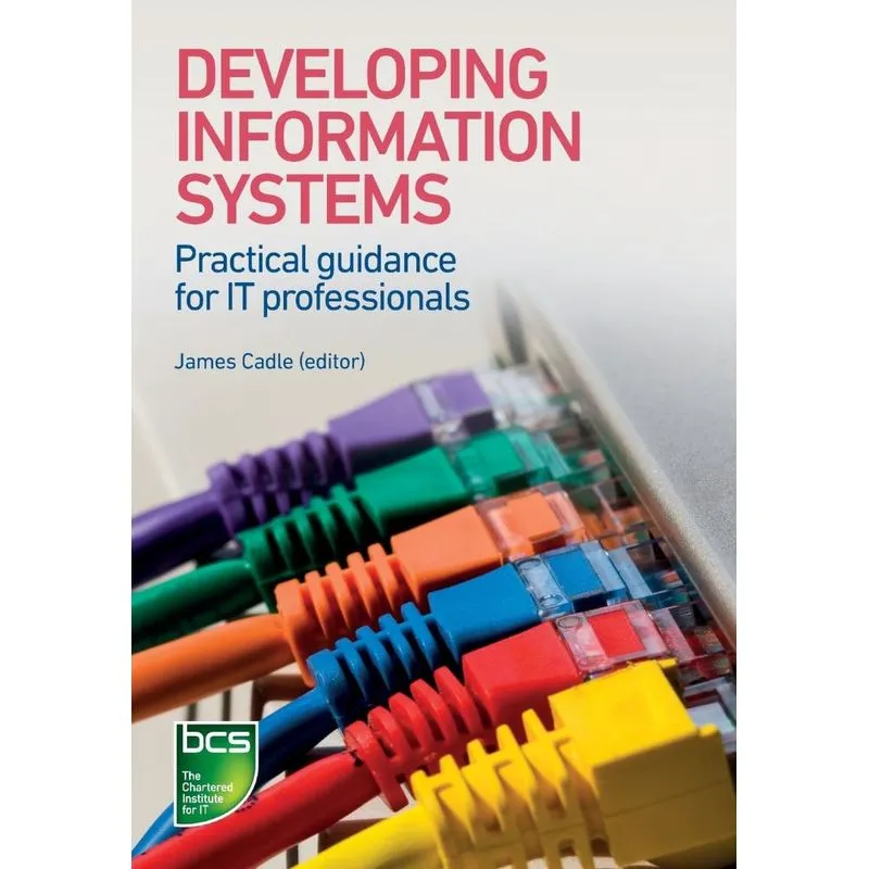 Developing Information Systems