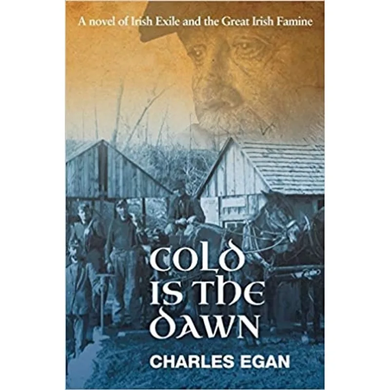 COLD IS THE DAWN - THE IRISH FAMINE SERIES - BOOK 3