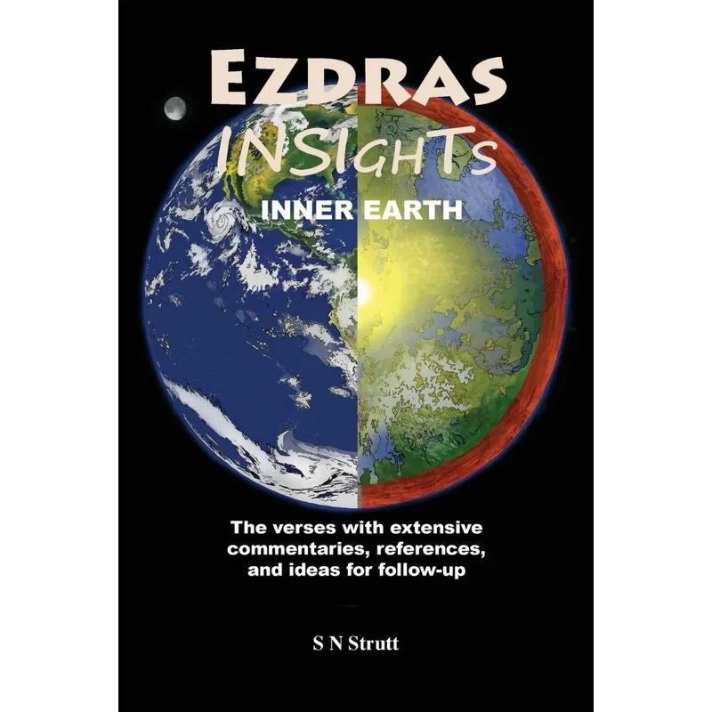 Ezdras Insights