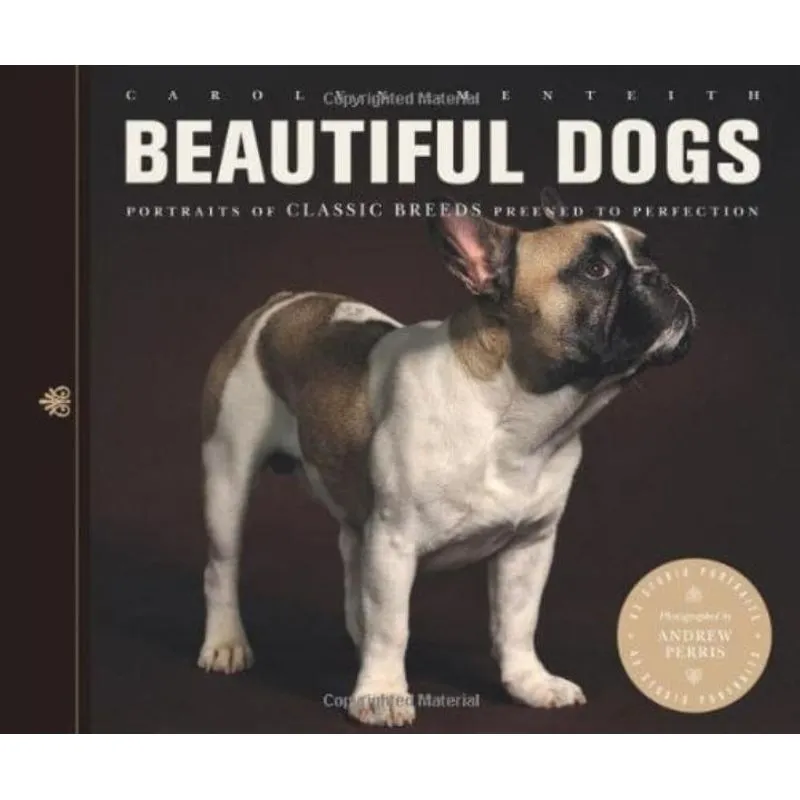 BEAUTIFUL DOGS