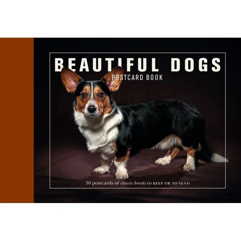 BEAUTIFUL DOGS POSTCARD BOOK