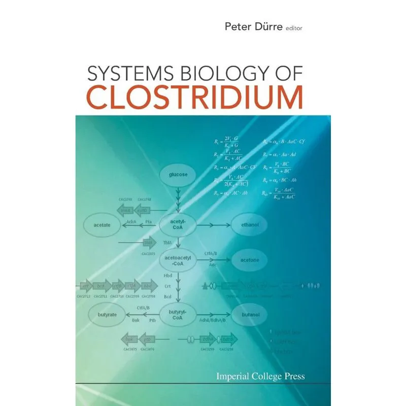 Systems Biology of Clostridium