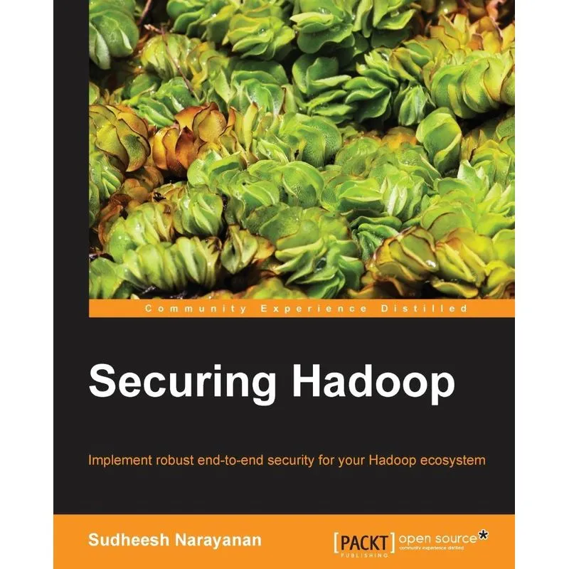 Securing Hadoop