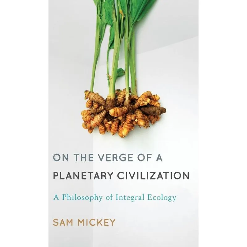 Livro On the Verge of a Planetary Civilization