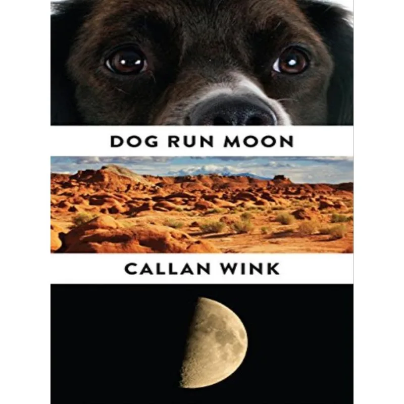 DOG RUN MOON
