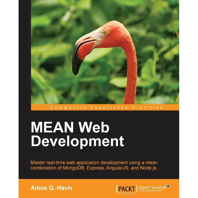 Mean Web Development