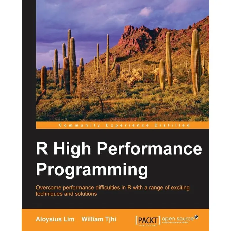 R High Performance Programming
