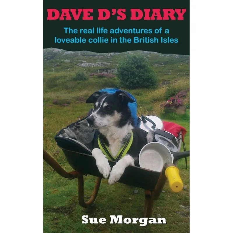 Dave Ds Diary