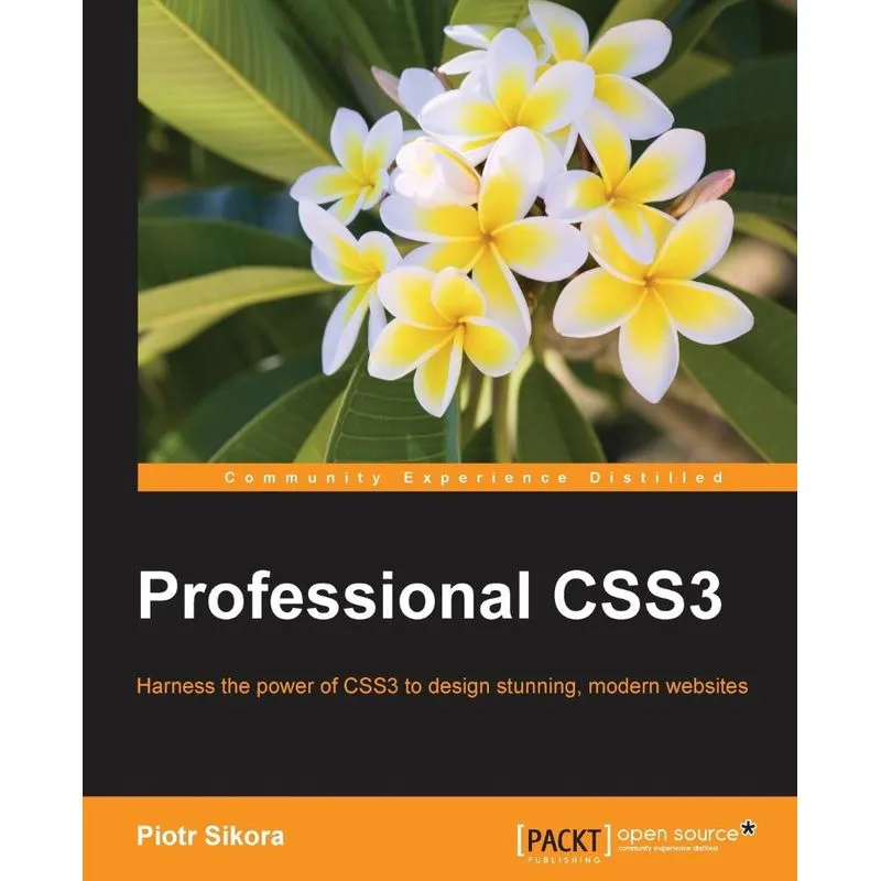 Professional CSS3