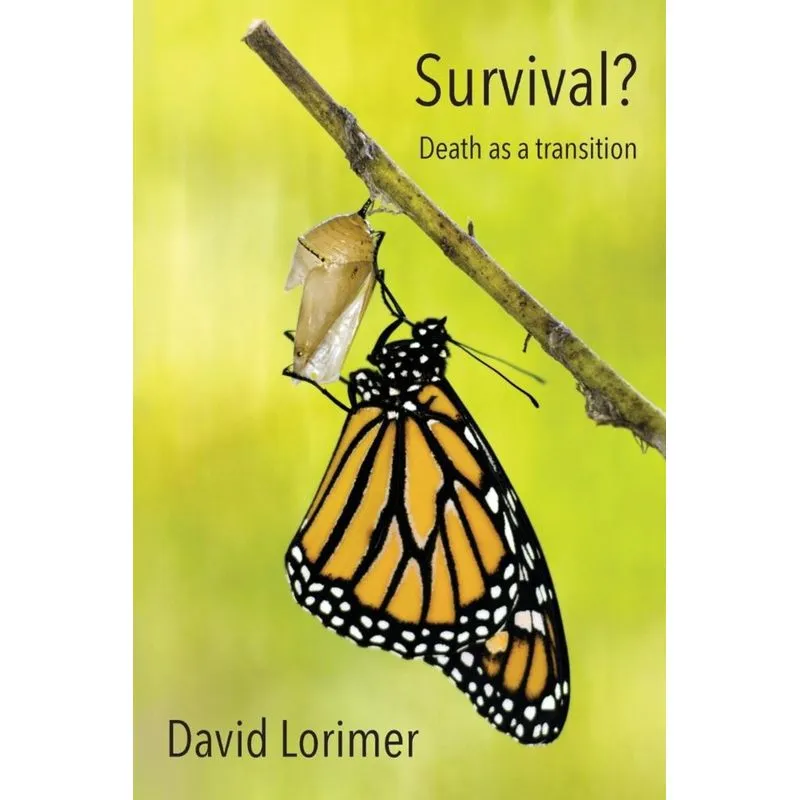 Survival? Death as a Transition