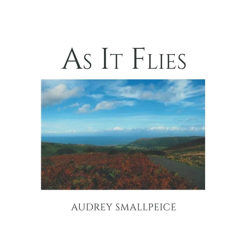 As It Flies