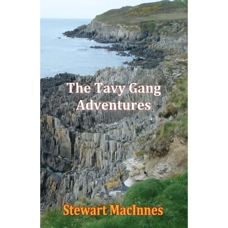 The Tavy Gang Adventures