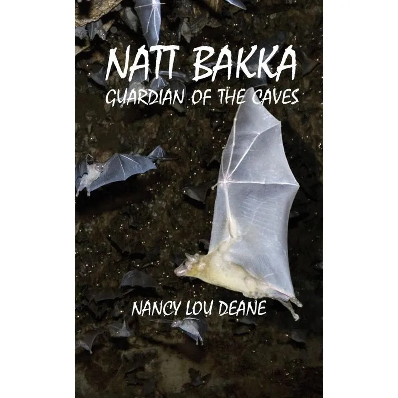 Natt Bakka