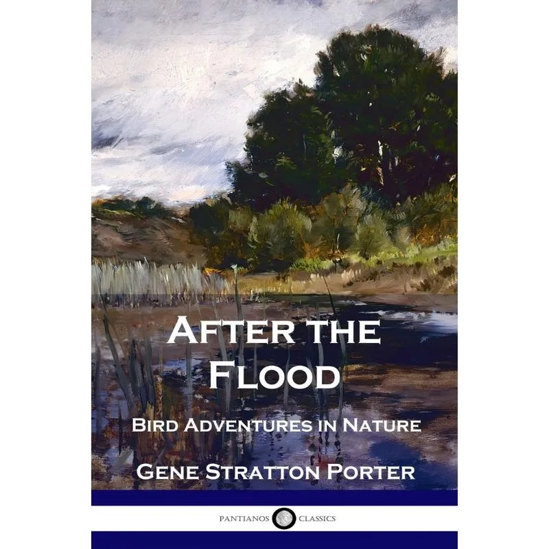 After the Flood