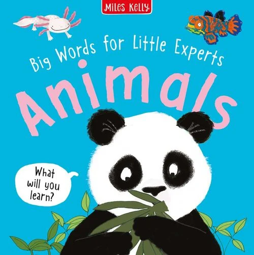 Animals (Big Words for Little Experts) Paperback