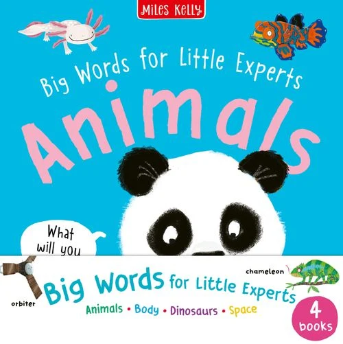 Big Words for Little Experts 4-pack (Big Words for Little Experts) Paperback