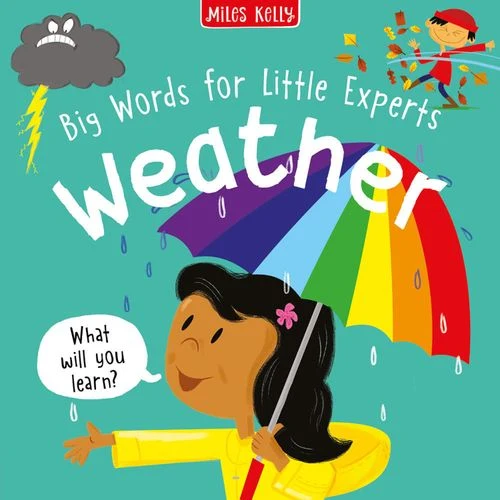 Weather (Big Words for Little Experts) Paperback