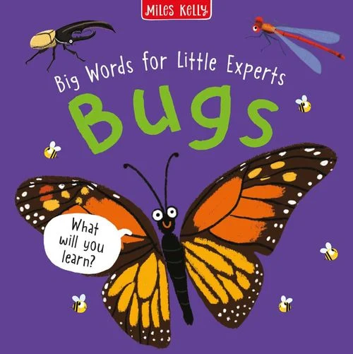 Bugs (Big Words for Little Experts) Paperback