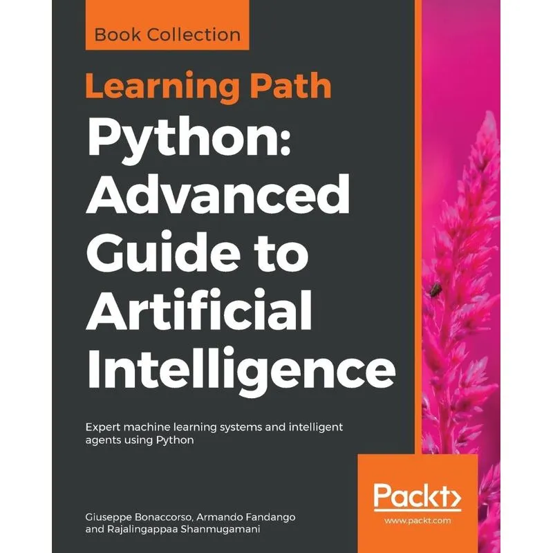Python