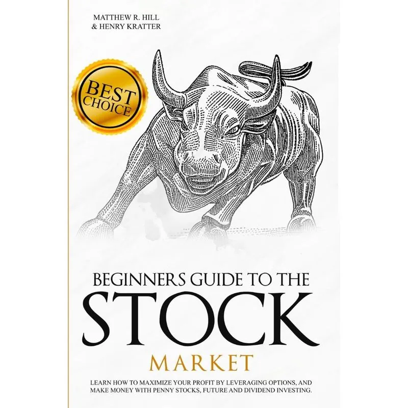 BEGINNERS GUIDE TO THE STOCK MARKET