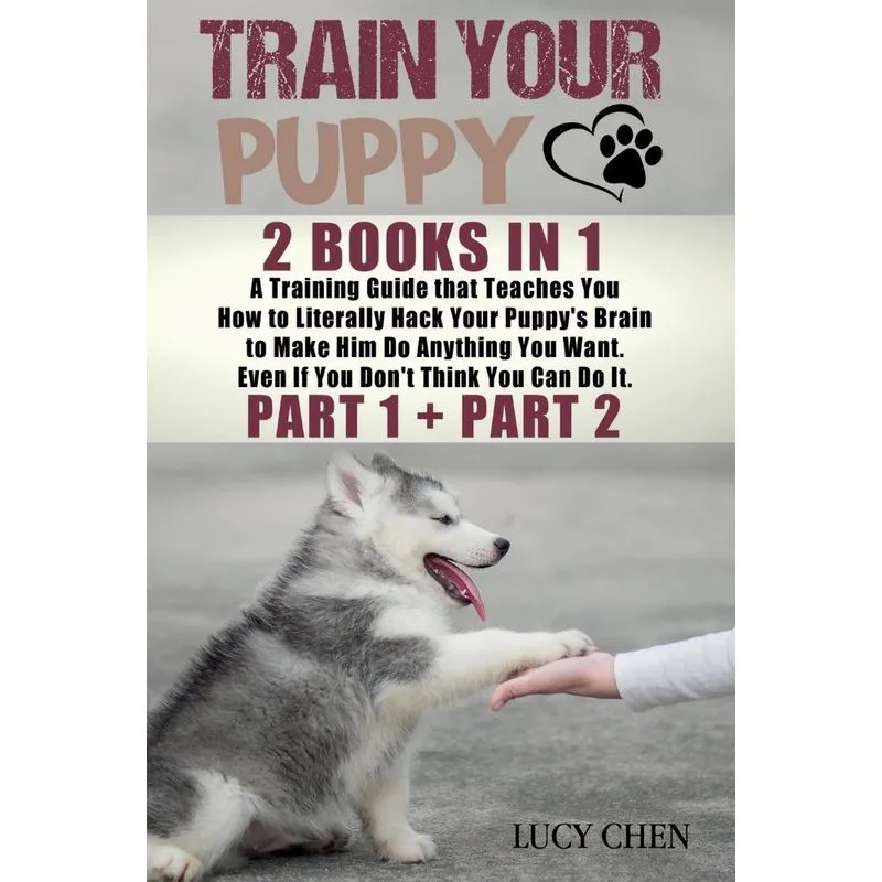 Train your Puppy